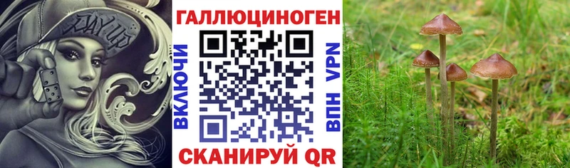 Псилоцибиновые грибы MAGIC MUSHROOMS  Ак-Довурак 